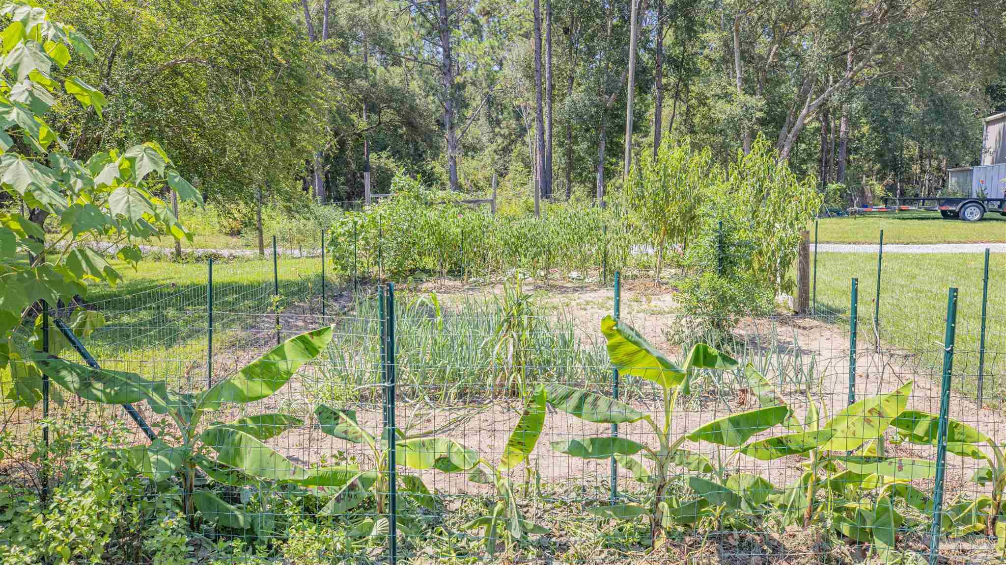 7680 Henderson Smith Road Milton, FL 32570 - Photo 33 of 41 Gallery Image 33