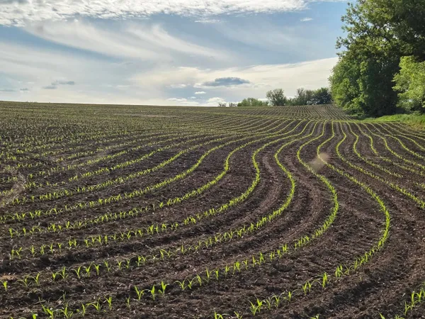 $295,000 | 18.5-ac County Road W, Hazel Green, WI 53811