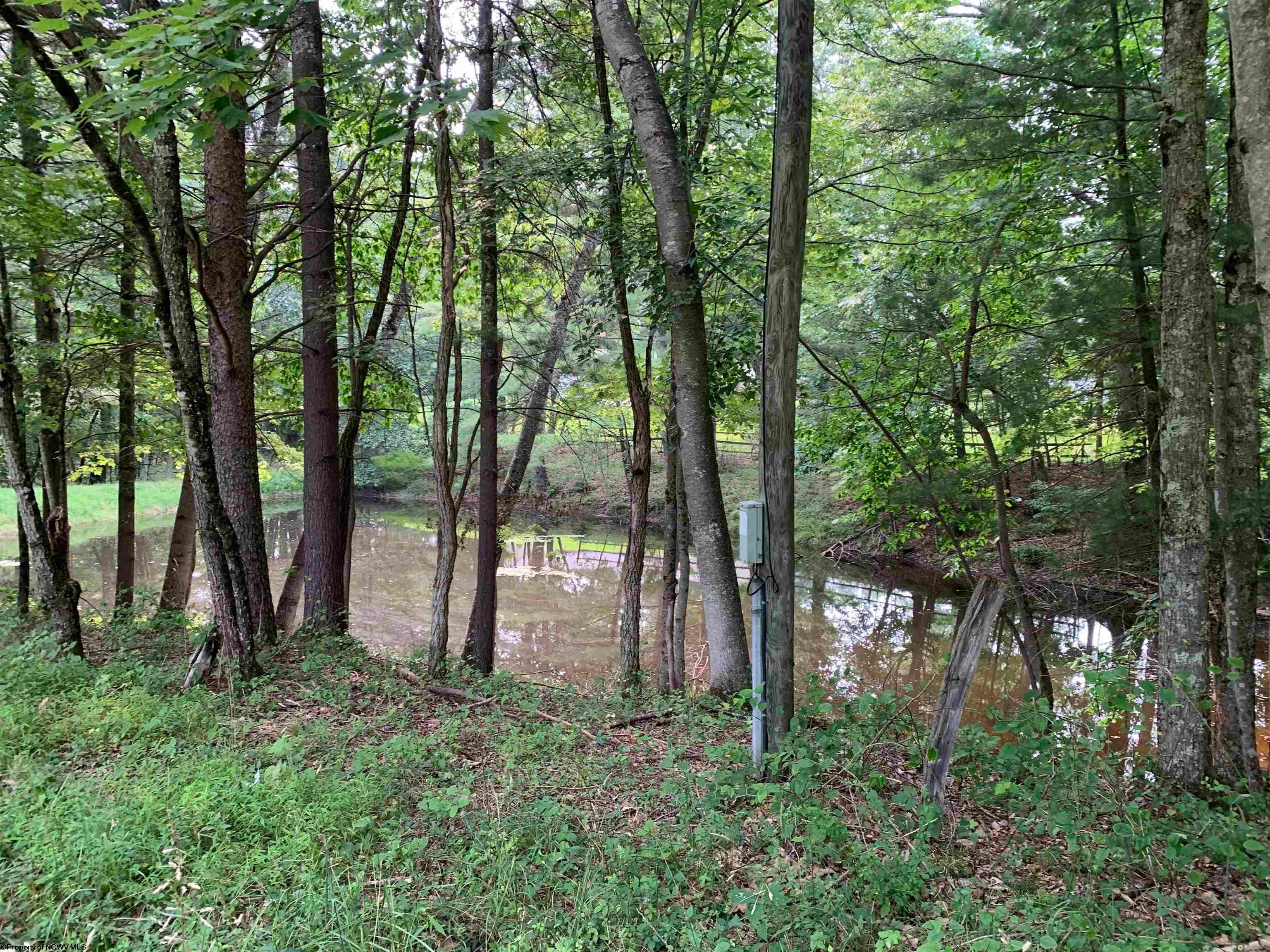 750 Whitman Run Road Philippi, WV 26416 - Photo 4 of 30 Gallery Image 4