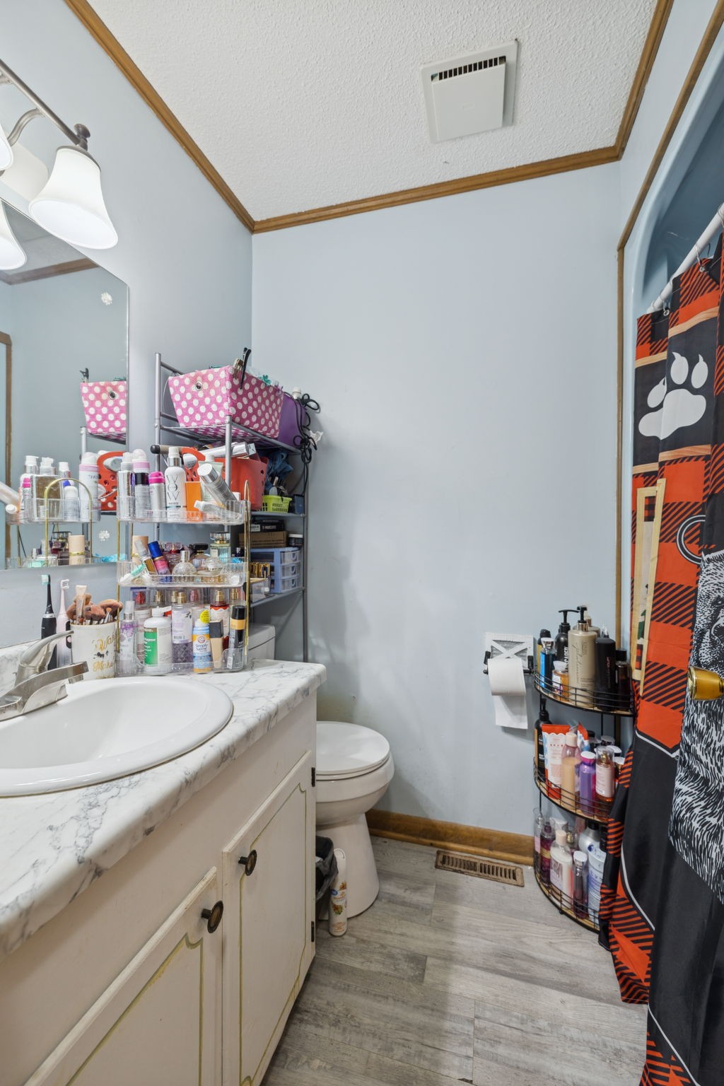 535 Gamaliel Road Red Boiling Springs, TN 37150 - Photo 23 of 30 a bathroom with a sink a vanity and a toilet
