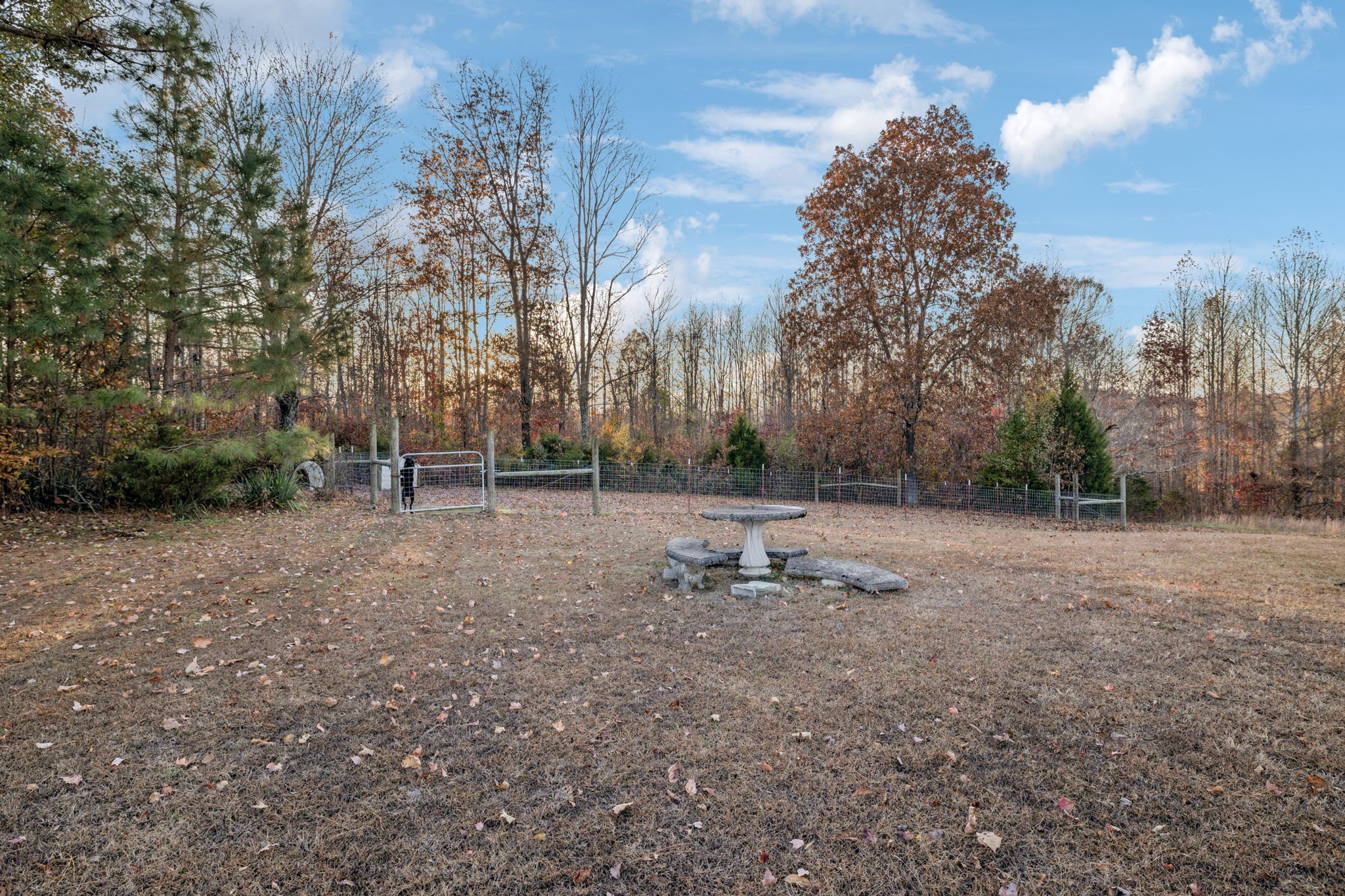 535 Gamaliel Road Red Boiling Springs, TN 37150 - Photo 29 of 30 a view of outdoor space with trees
