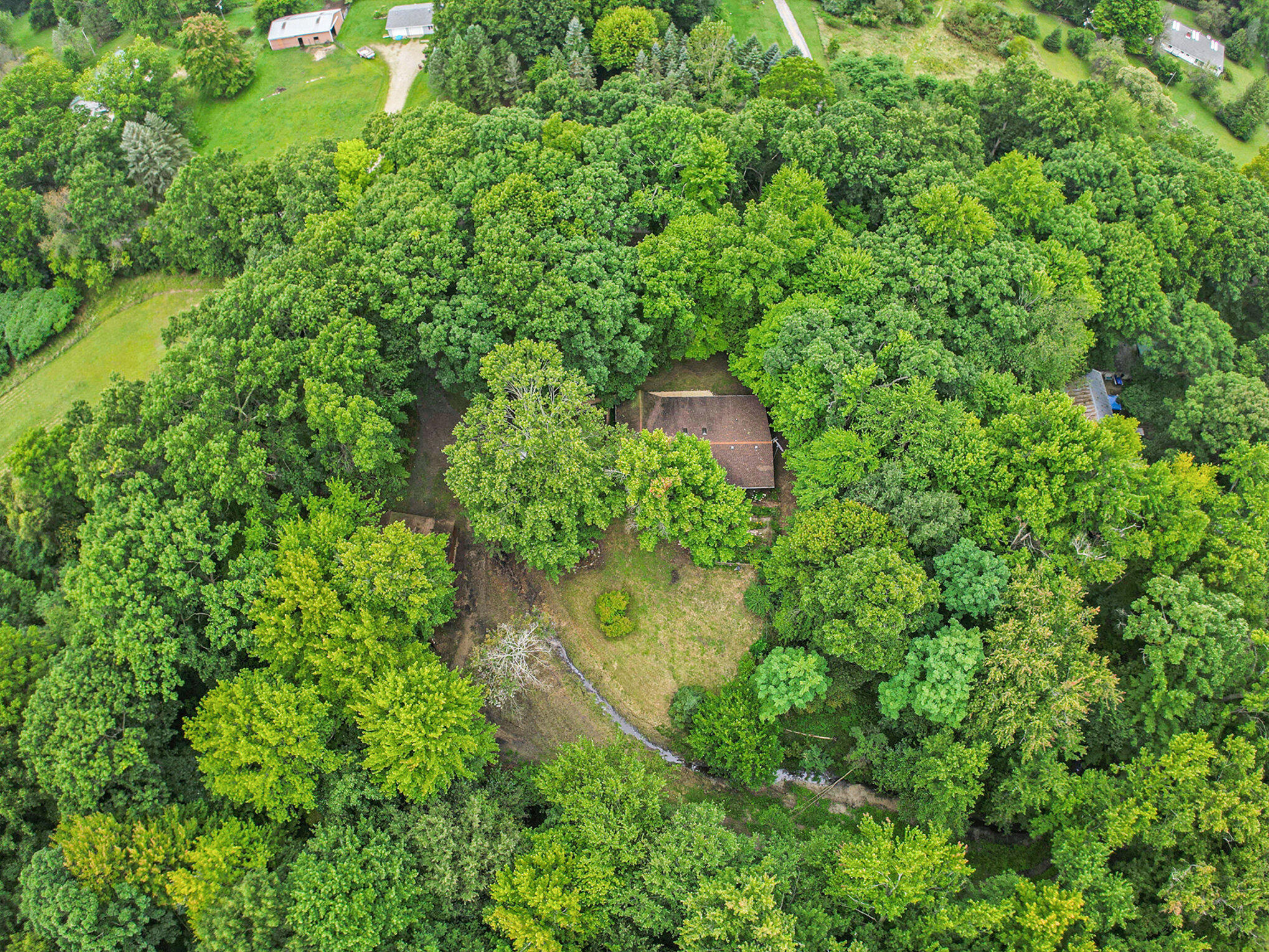 3675 Woods Road Leslie, MI 49251 - Photo 4 of 36 028_dji_0920