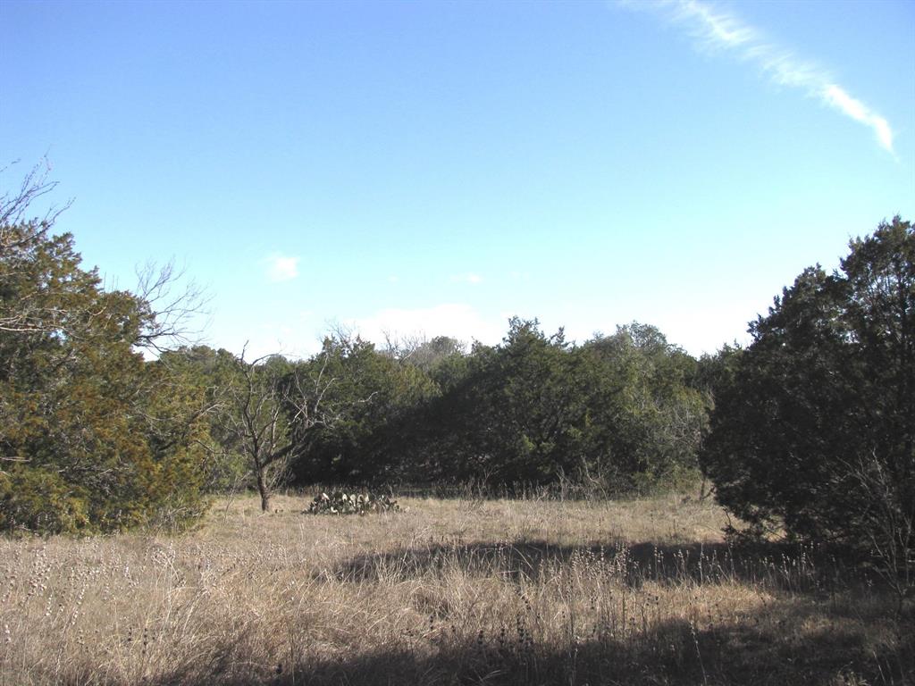 Lot 3-ph County Road 421 Evant, TX 76525 - Photo 5 of 27