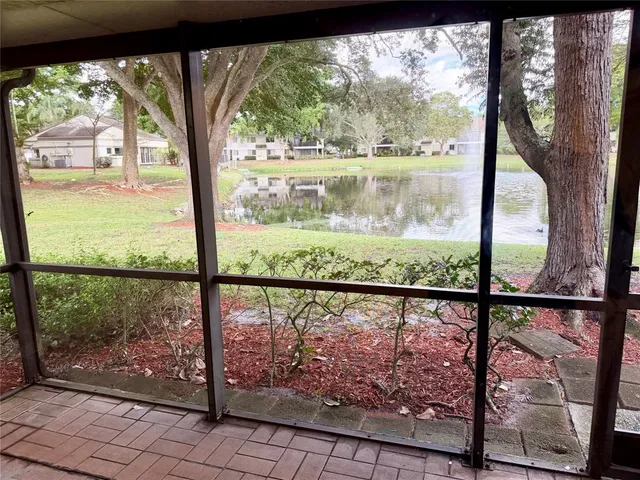 a view of a lake with a tree
