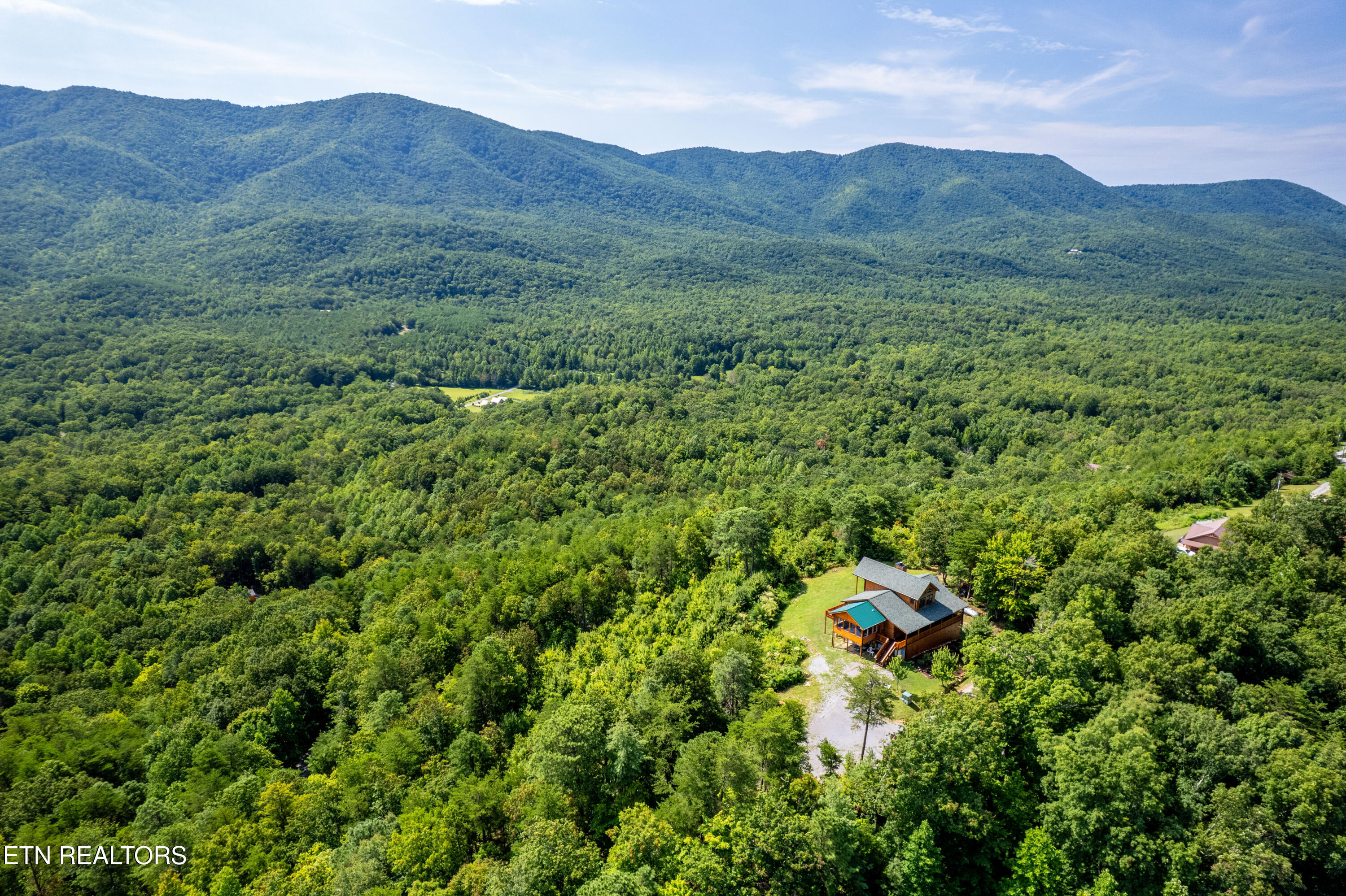 1099 Smithfield Road Tellico Plains, TN 37385 - Photo 50 of 58 1099Smithfield-67