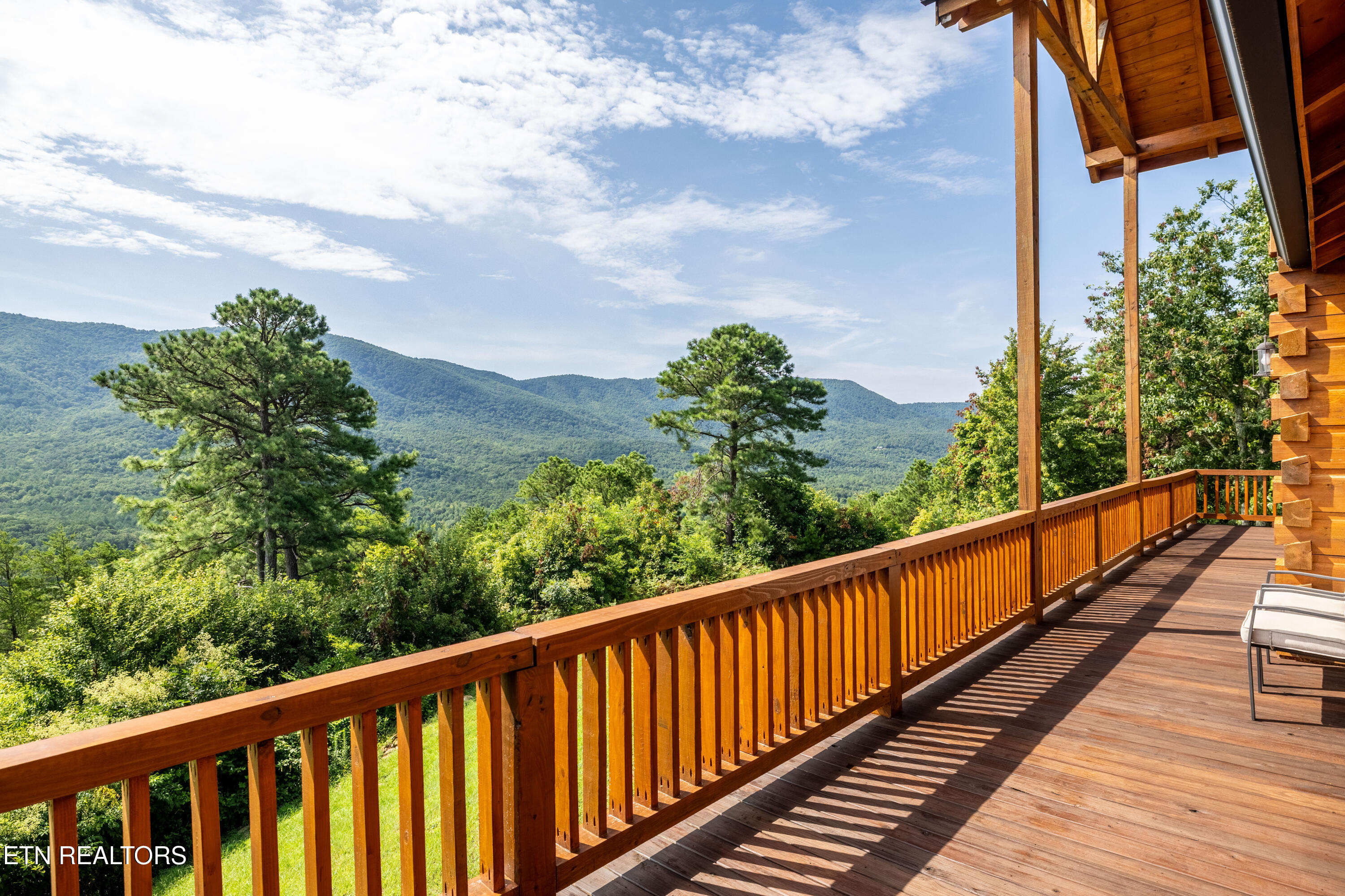 1099 Smithfield Road Tellico Plains, TN 37385 - Photo 51 of 58 1099Smithfield-39