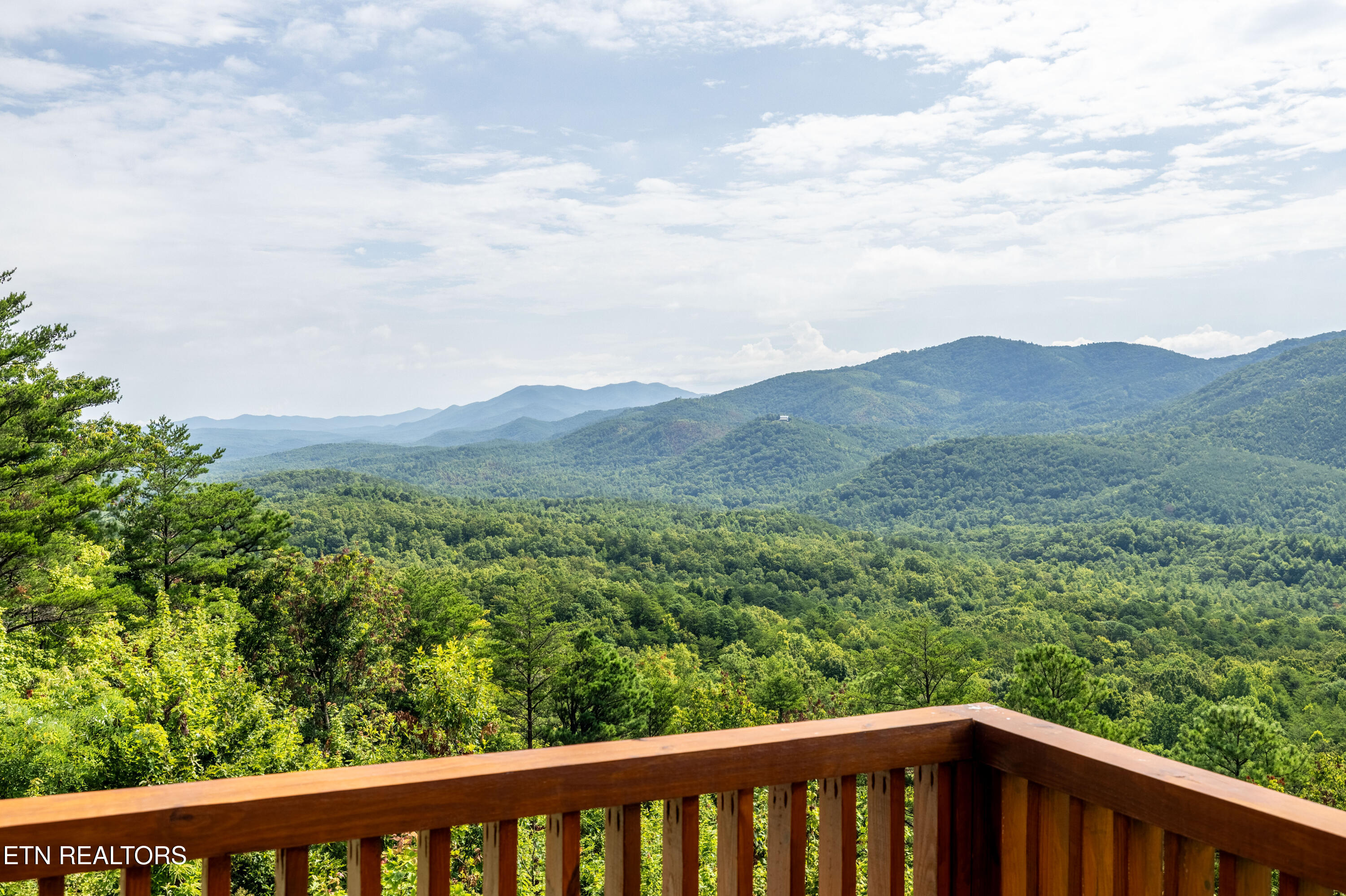 1099 Smithfield Road Tellico Plains, TN 37385 - Photo 53 of 58 1099Smithfield-40