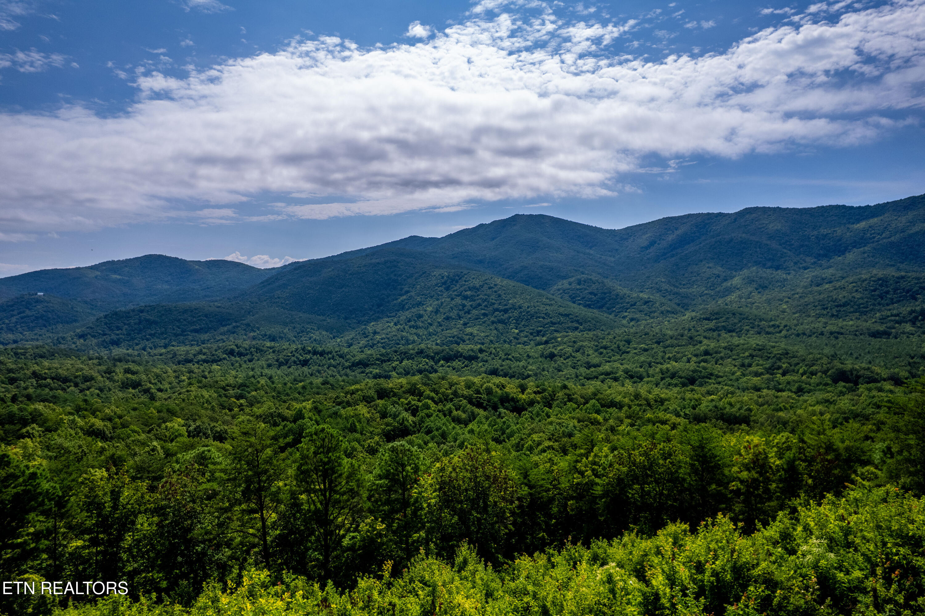 1099 Smithfield Road Tellico Plains, TN 37385 - Photo 56 of 58 1099Smithfield-49