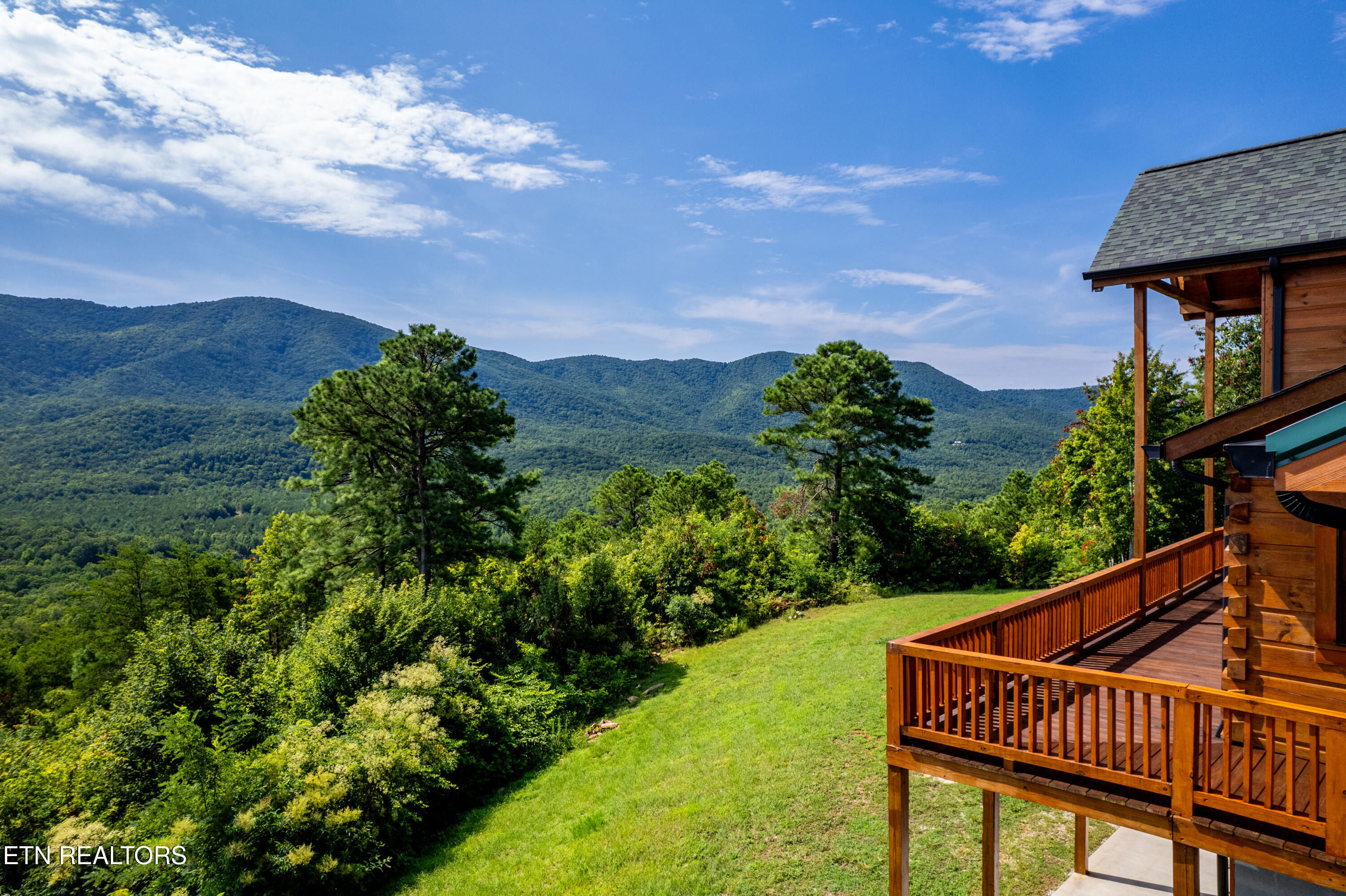 1099 Smithfield Road Tellico Plains, TN 37385 - Photo 6 of 58 1099Smithfield-50