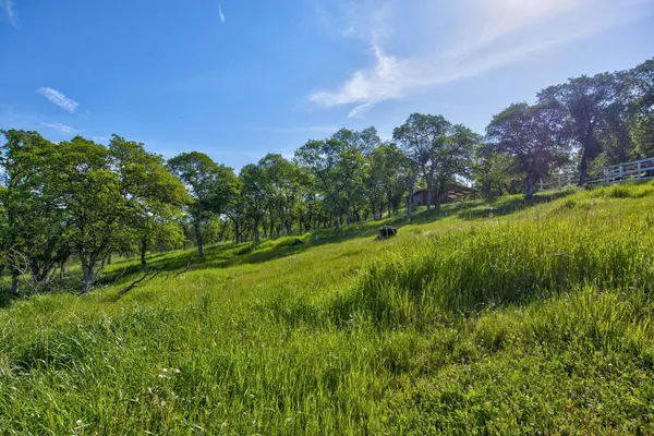 $457,000 | 9564 Coronado Drive, La Grange, CA 95329