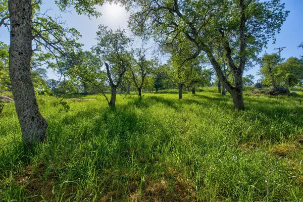 $457,000 | 9564 Coronado Drive, La Grange, CA 95329