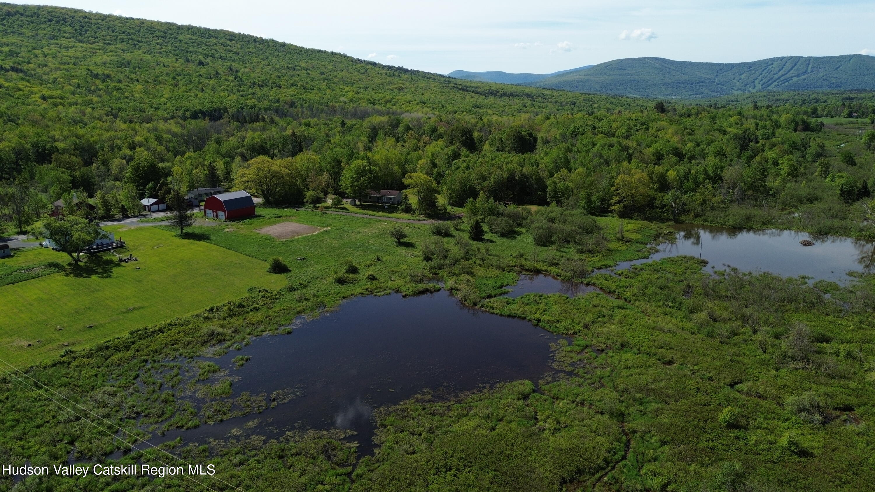 769 Mitchell Hollow Road Windham, NY 12496 - Photo 56 of 59 DJI_0099
