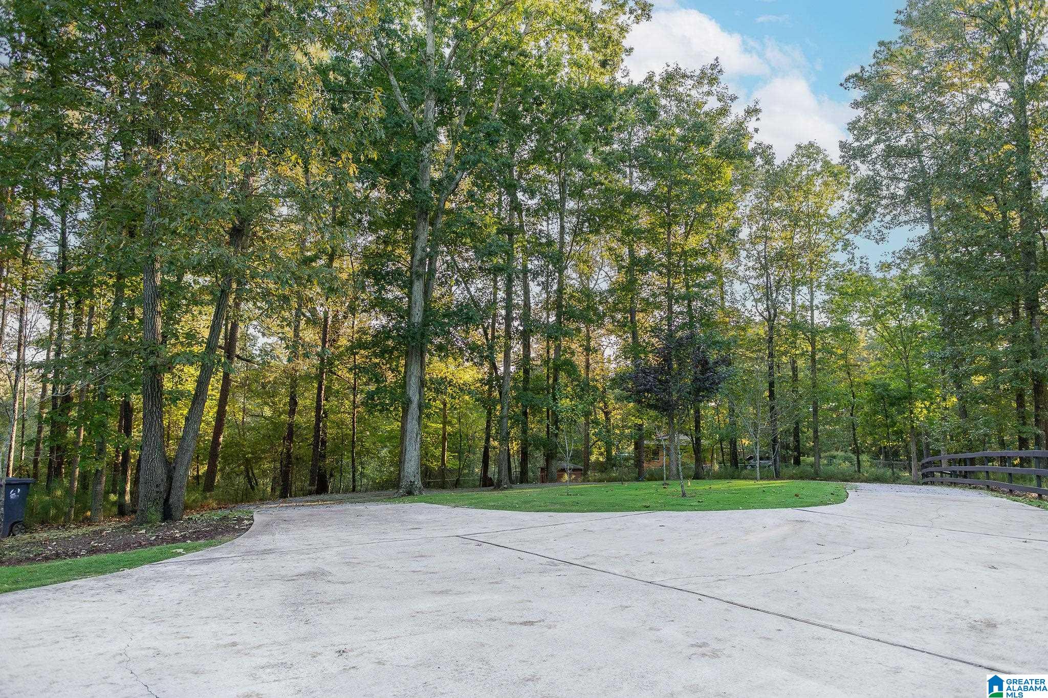 7698 Dollar Road Trussville, AL 35173 - Photo 9 of 49