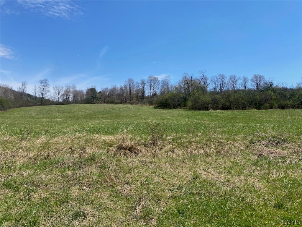 3827 Vandermark Road Scio, NY 14880 - Photo 27 of 49
