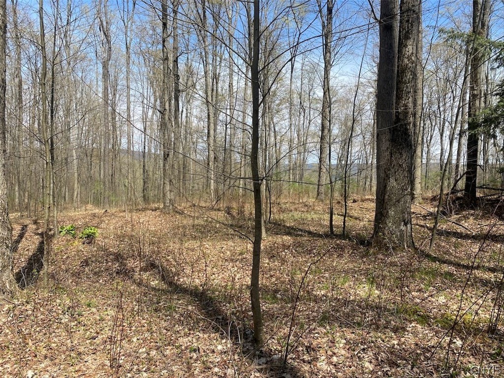 3827 Vandermark Road Scio, NY 14880 - Photo 33 of 49