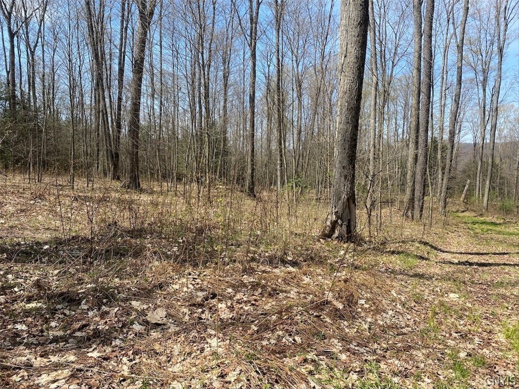 3827 Vandermark Road Scio, NY 14880 - Photo 34 of 49