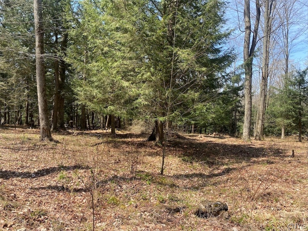 3827 Vandermark Road Scio, NY 14880 - Photo 35 of 49