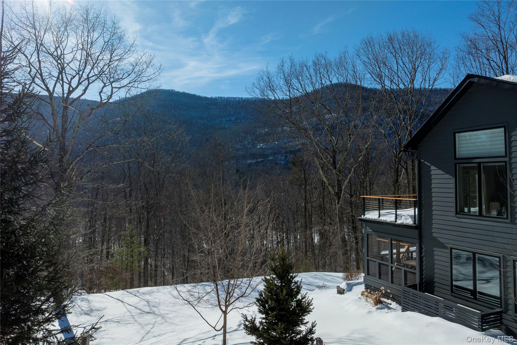 55 Mountain Laurel Road Mount Tremper, NY 12457 - Photo 2 of 40