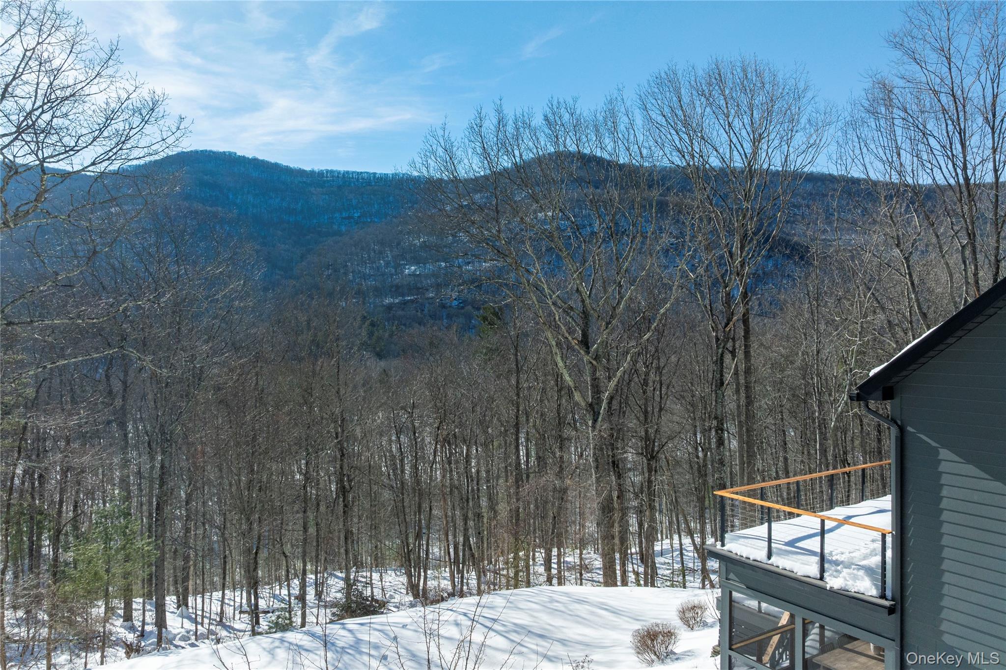 55 Mountain Laurel Road Mount Tremper, NY 12457 - Photo 39 of 40