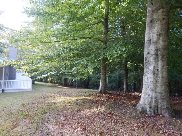 389 West Shellsford Road McMinnville, TN 37110 - Photo 43 of 49 Gallery Image 43