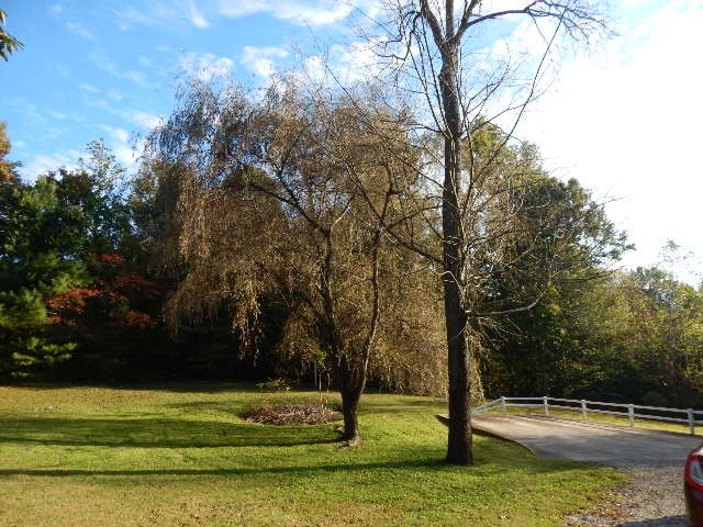389 West Shellsford Road McMinnville, TN 37110 - Photo 45 of 49 Gallery Image 45