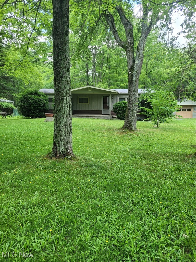 1062 Ridge Road Vienna, OH 44473 - Photo 1 of 11 View of yard