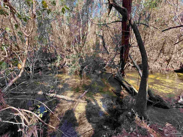 $235,000 | Lot 8 Creek Bluff Drive, Pace, FL 32571