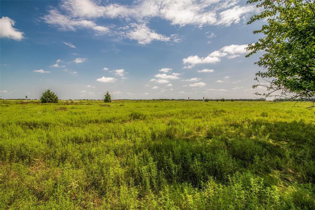 Tbd Hwy 82 Ector, TX 75439 - Photo 8 of 10