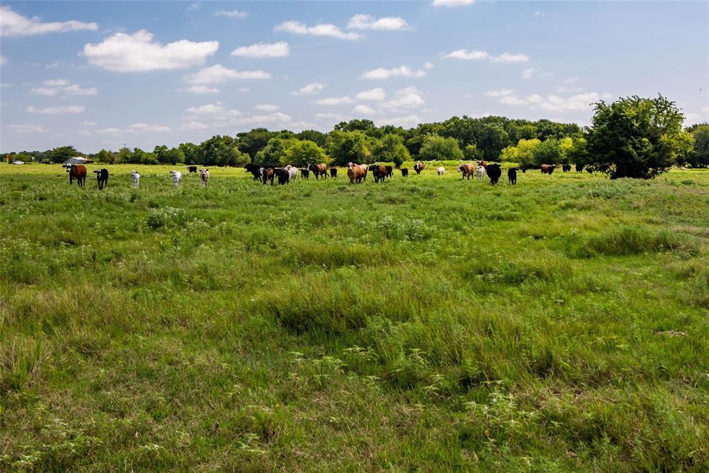 Tbd Hwy 82 Ector, TX 75439 - Photo 9 of 10
