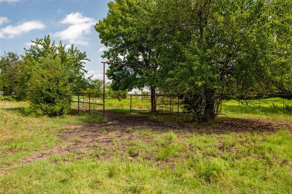 Tbd Hwy 82 Ector, TX 75439 - Photo 10 of 10