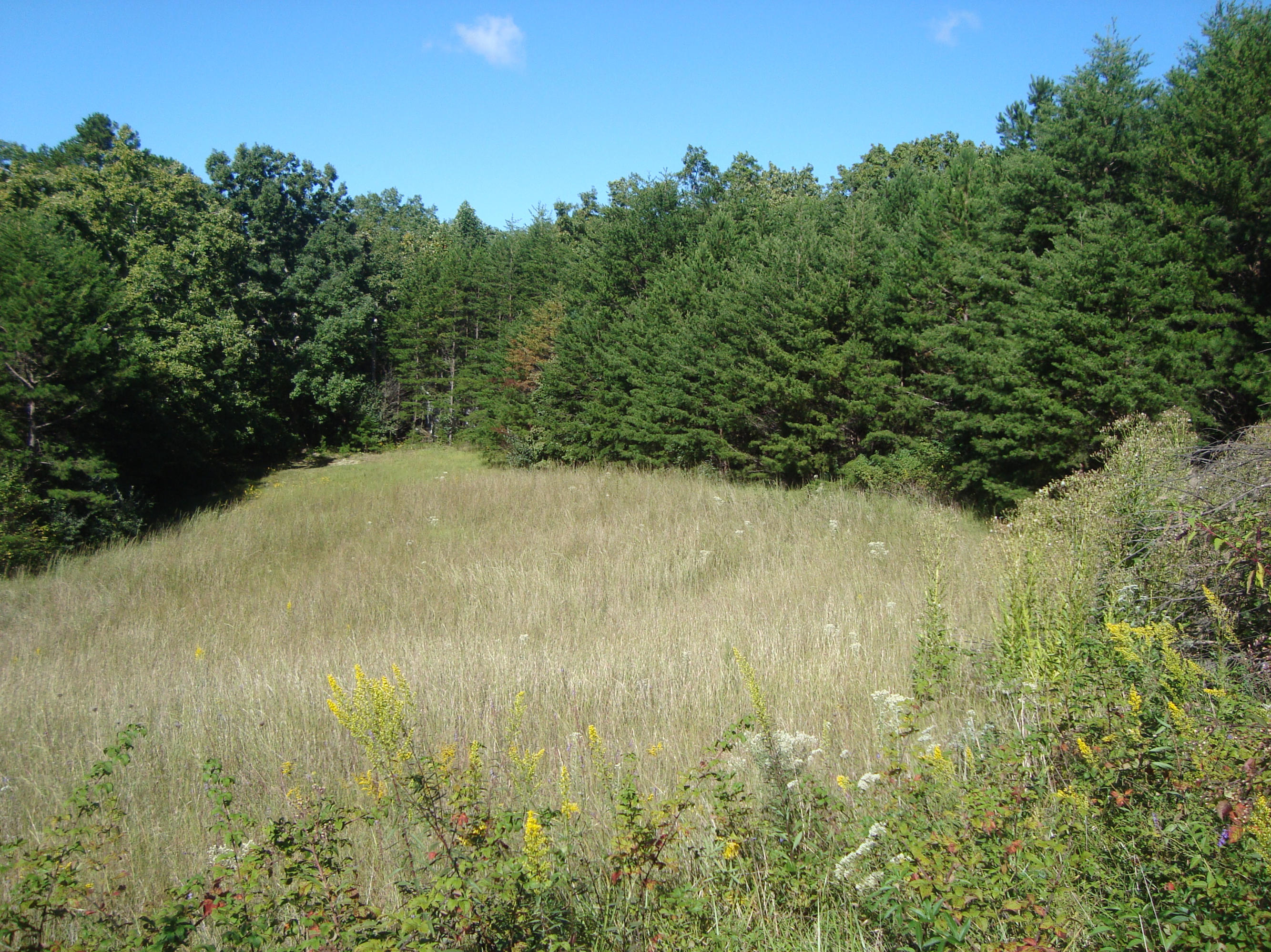 1 Pond Ridge Road Tellico Plains, TN 37385 - Photo 1 of 2 DSC04878