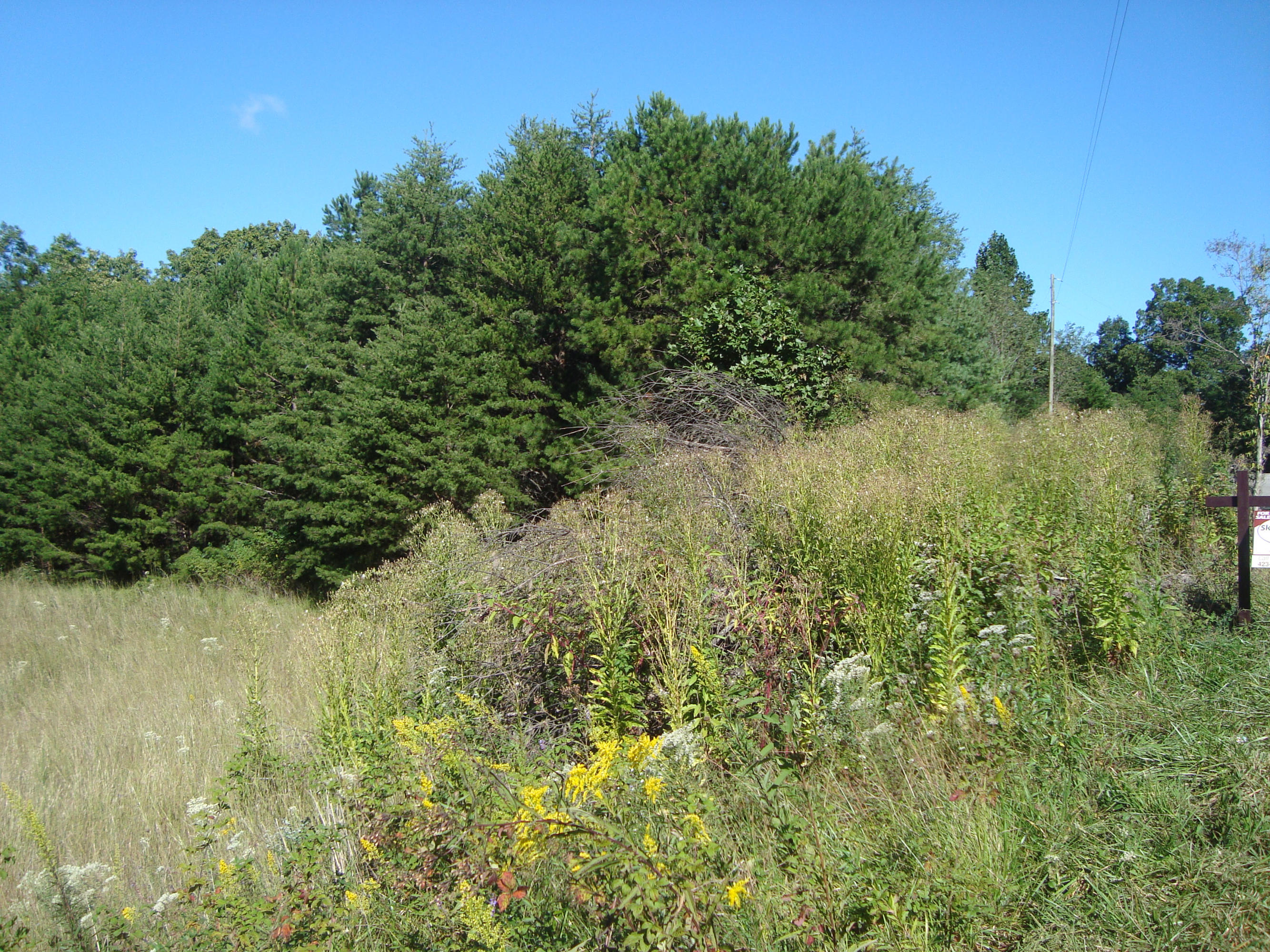 1 Pond Ridge Road Tellico Plains, TN 37385 - Photo 2 of 2 DSC04879