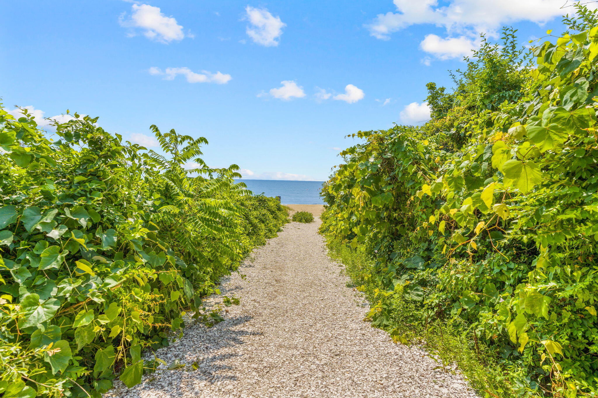 11 Milestone Way, Unit 11 Mashpee, MA 02649 - Photo 39 of 42 11-web-or-mls-35-web-or-mls-10 Hydrangea