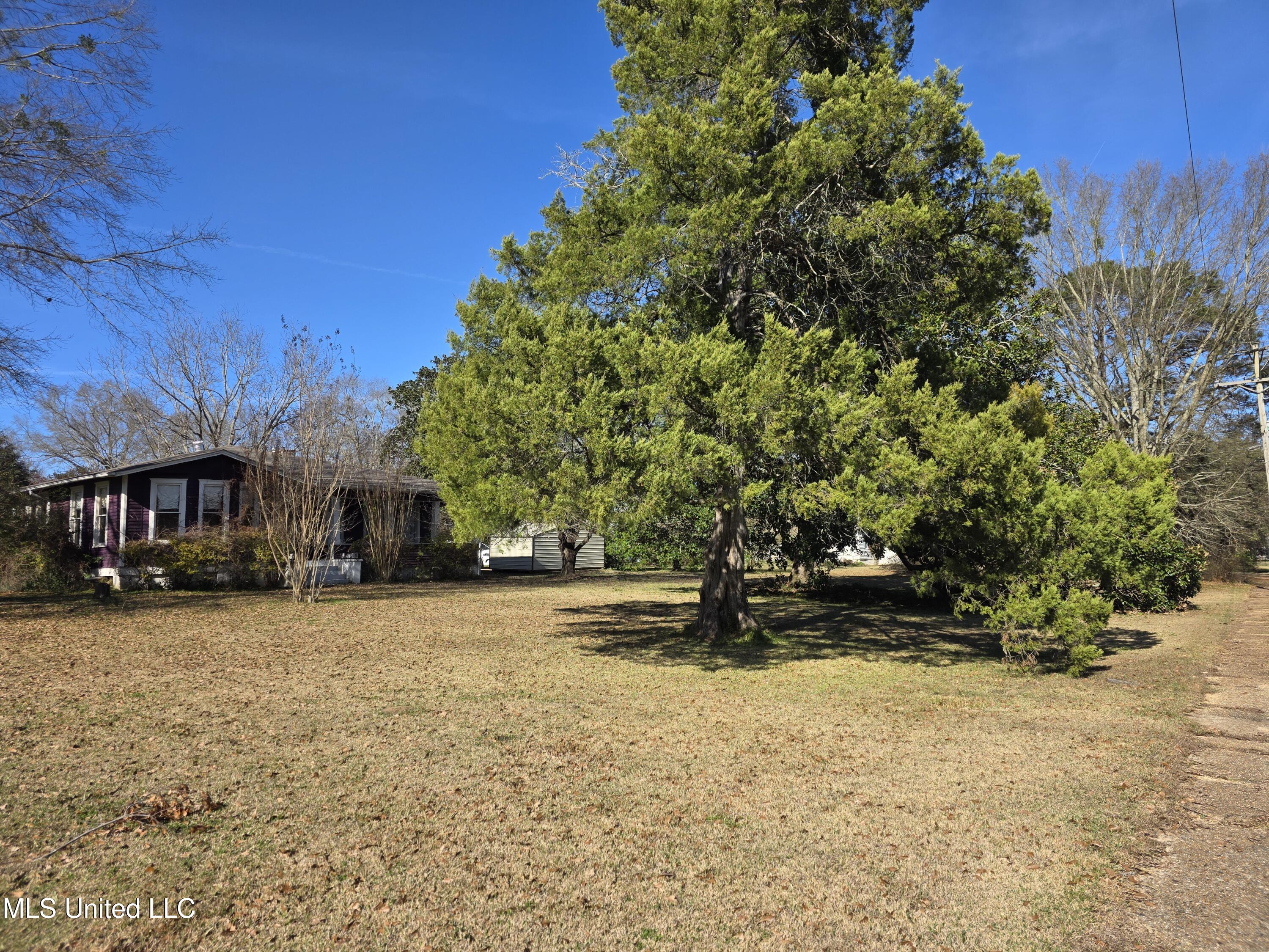 1079 Beech Street Wesson, MS 39191 - Photo 36 of 36 23853