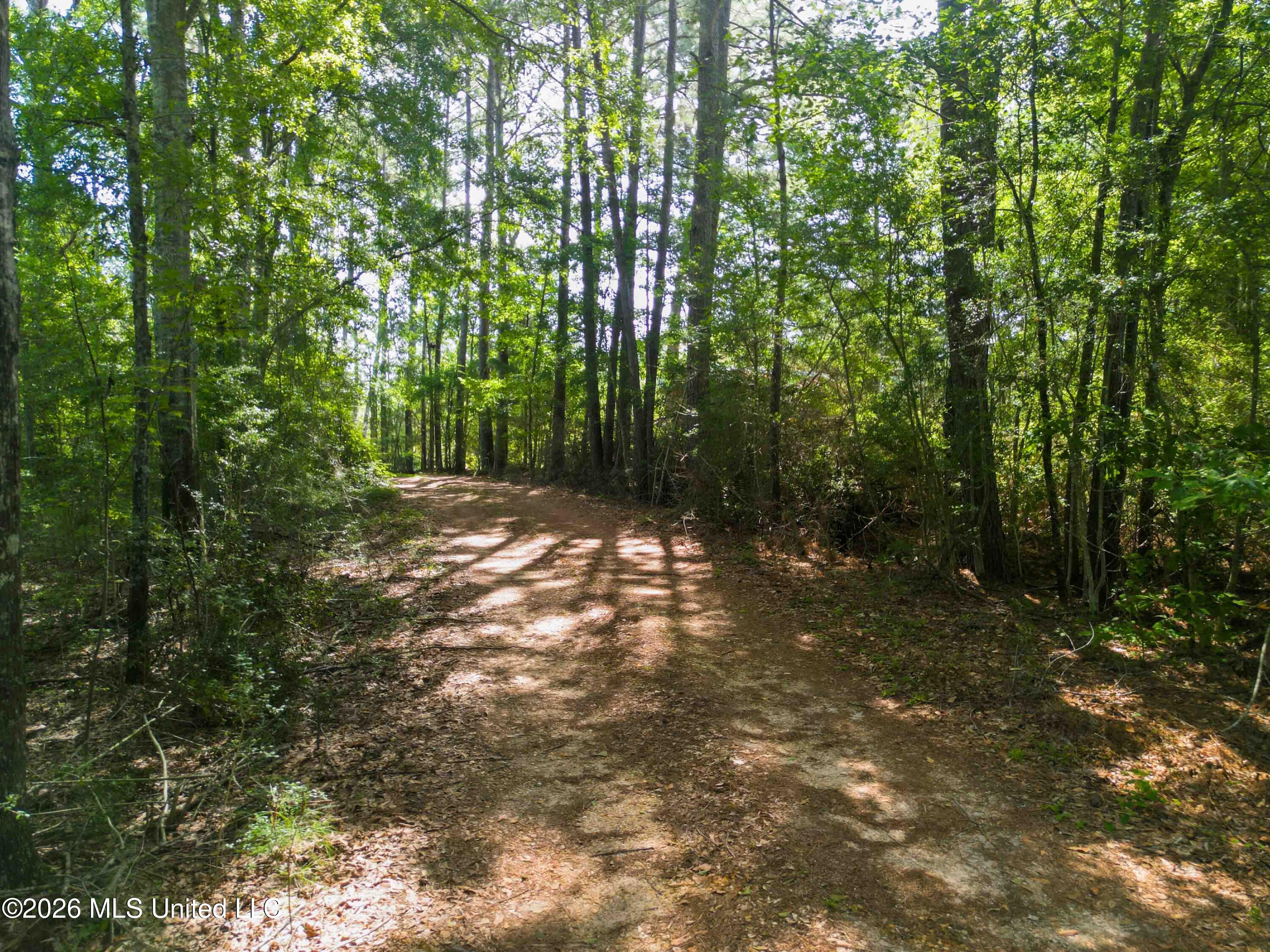 585 Carson-Bunkerhill Road Carson, MS 39427 - Photo 17 of 29 585 Carson-Bunkerhill Rd Carson-15