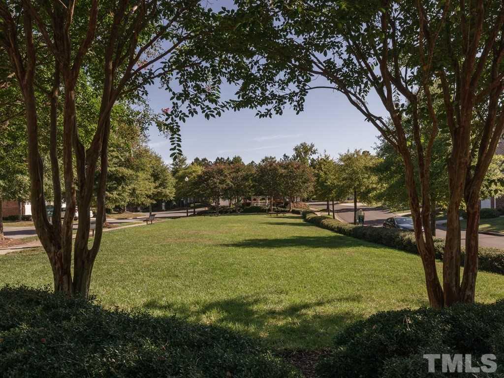 9523 Vira Drive Raleigh, NC 27617 - Photo 24 of 25 a view of a trees with yard