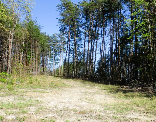 259 Jocassee Ridge Way Salem, SC 29676 - Photo 15 of 19 Gallery Image 15