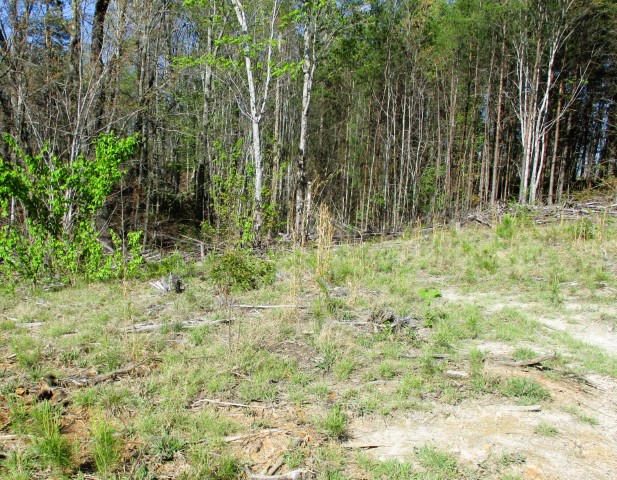 259 Jocassee Ridge Way Salem, SC 29676 - Photo 16 of 19 Gallery Image 16