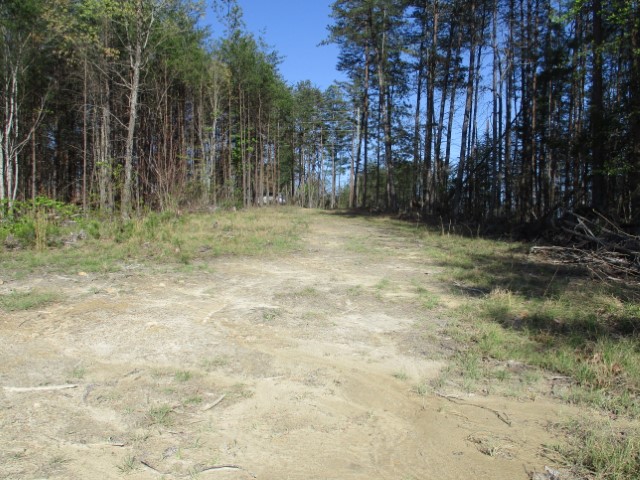 259 Jocassee Ridge Way Salem, SC 29676 - Photo 17 of 19 Gallery Image 17