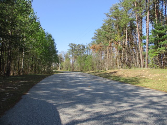 259 Jocassee Ridge Way Salem, SC 29676 - Photo 7 of 19 Gallery Image 7