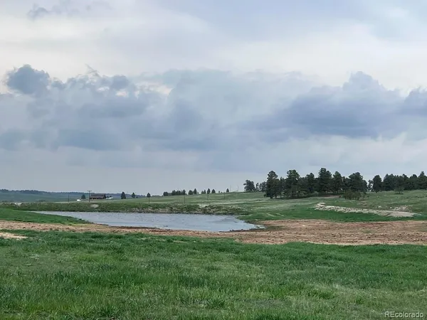 a view of a lake and a yard
