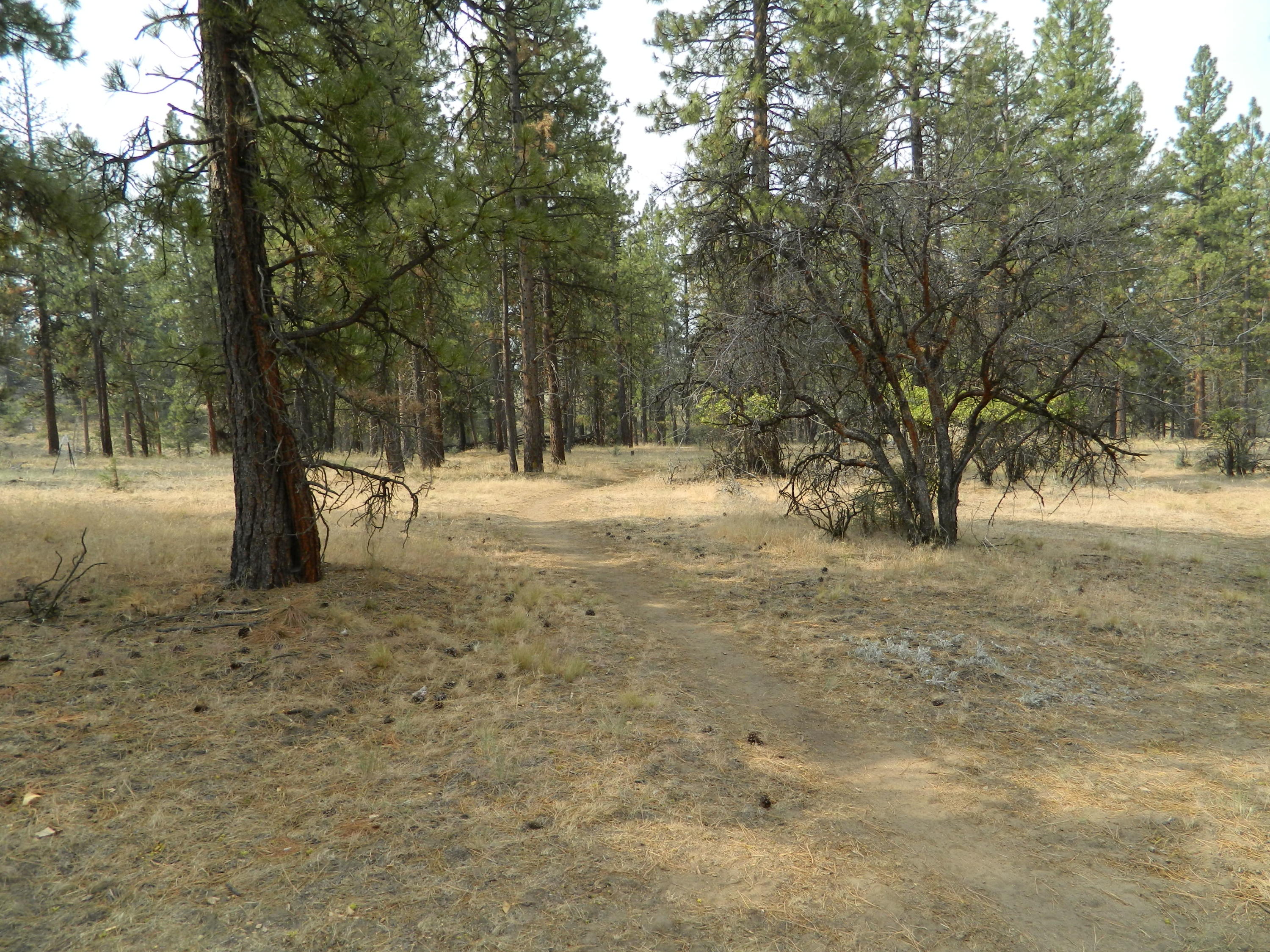 27956 Petersteiner Road Bonanza, OR 97623 - Photo 17 of 25 DSCN0076