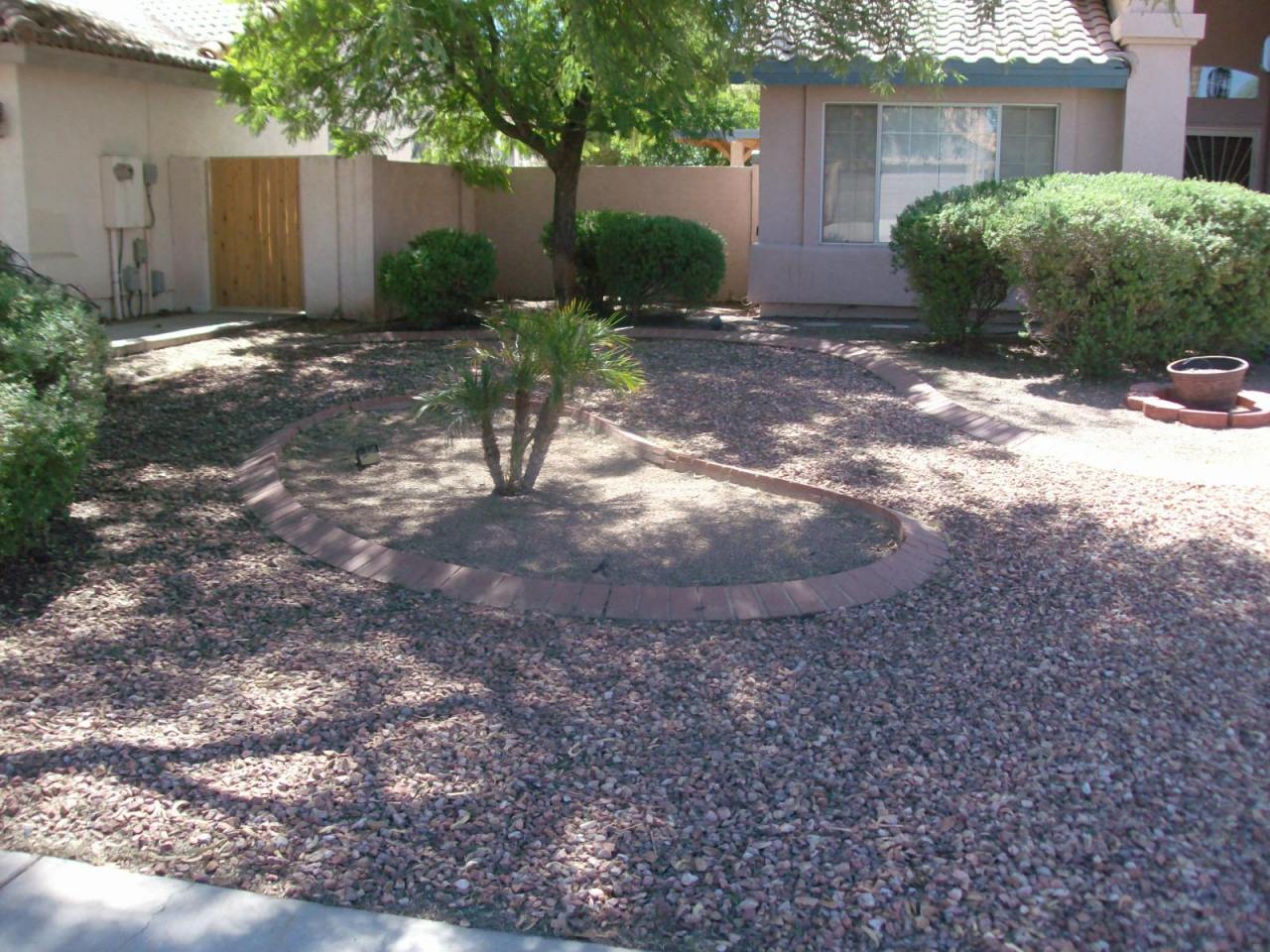 1919 East Colt Road Tempe, AZ 85284 - Photo 13 of 14 FRONT LANDSCAPING