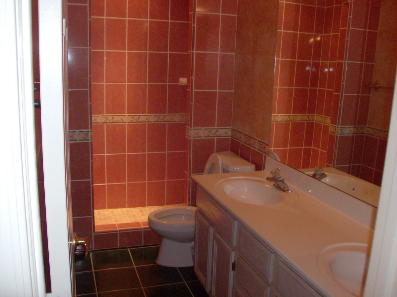 1919 East Colt Road Tempe, AZ 85284 - Photo 6 of 14 GUEST BATHROOM