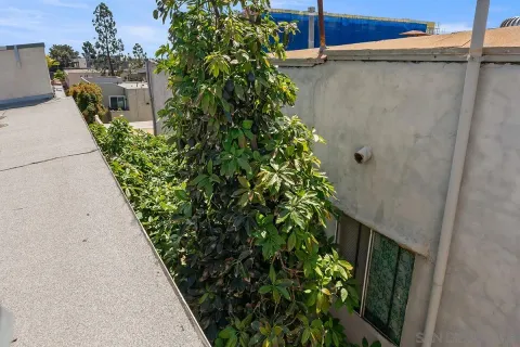 a view of outdoor space and yard