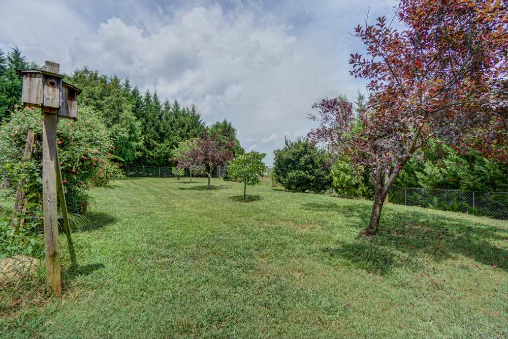357 James Allgood Drive Inman, SC 29349 - Photo 17 of 25