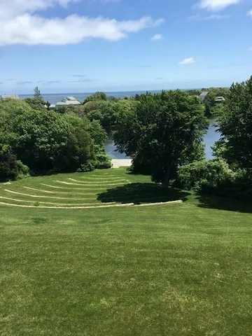 a view of a field with plants and trees in the background