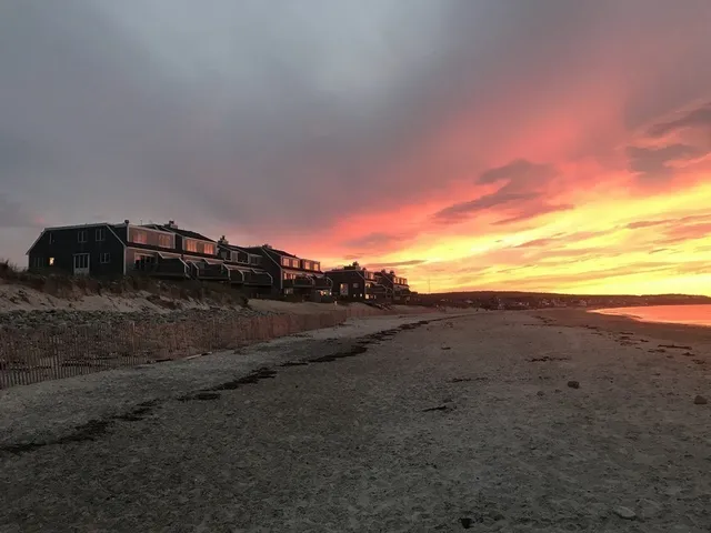 a view of a dry yard with wooden fence