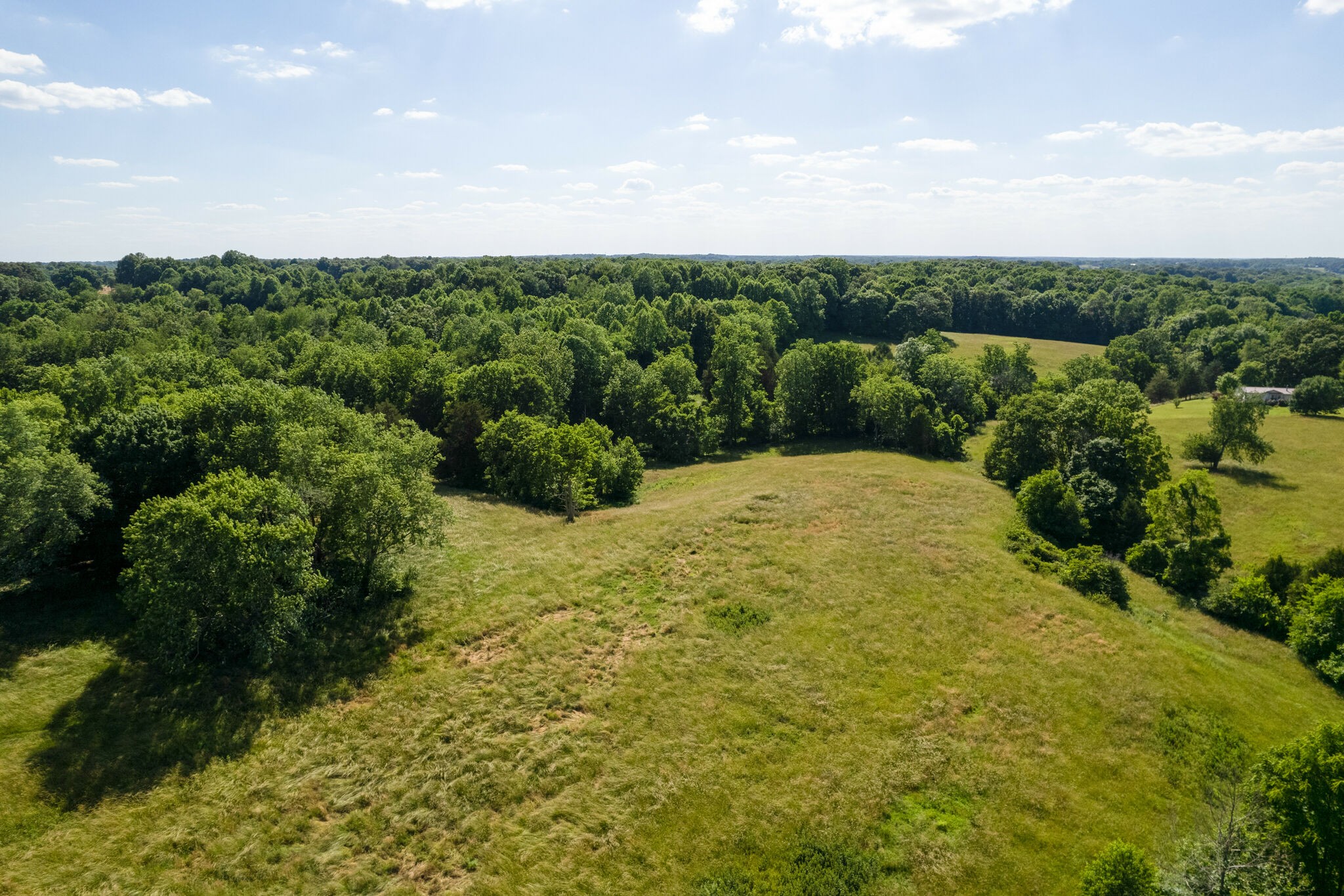 2656 Cave Springs Road Springfield, TN 37172 - Photo 14 of 20 Gallery Image 14