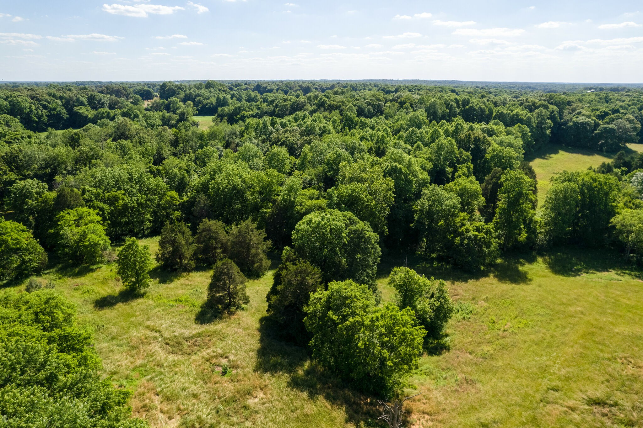 2656 Cave Springs Road Springfield, TN 37172 - Photo 18 of 20 Gallery Image 18